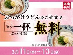 230306 B