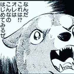 62978 B