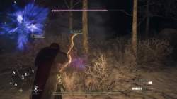 7227646 B