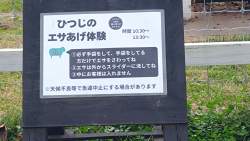 1812693 B