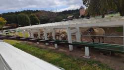 4410605 B