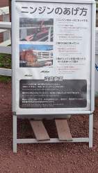 2881416 B