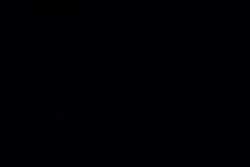 4387783 B