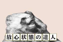 156093 B