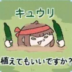 16915 B