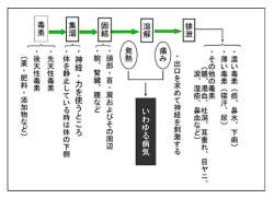 65251 B
