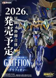 243342 B