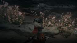 254633 B