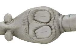 45992 B