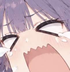 46438 B