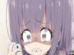 256556 B