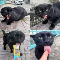 575739 B