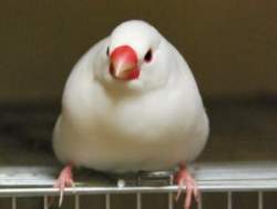 7495 B