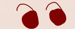 14578 B