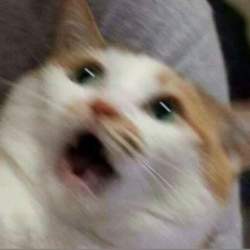 245956 B