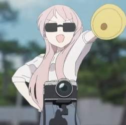 39561 B