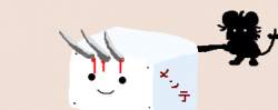 8088 B