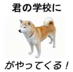 34774 B