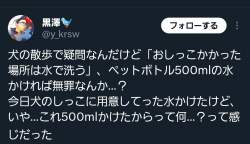 169256 B