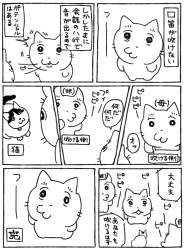 255608 B