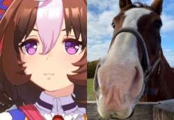 22666 B