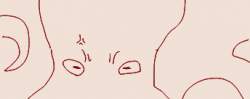 11781 B