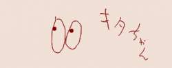 8008 B