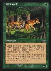 24850 B