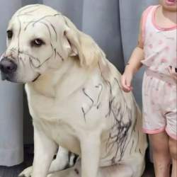 107871 B