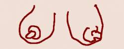 9707 B