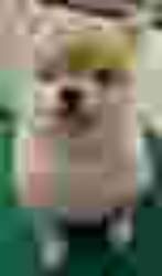 13957 B