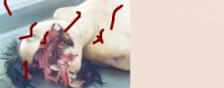 55525 B