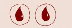 14510 B