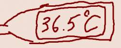 12543 B