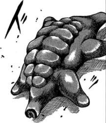 258781 B