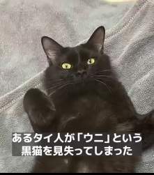 2312499 B