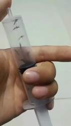 1233742 B