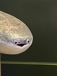23913 B