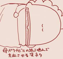 65565 B