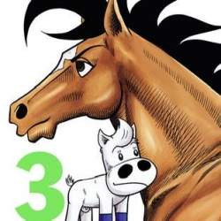 24366 B