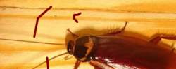 93463 B