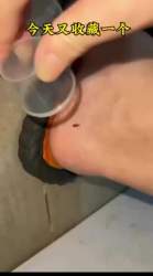 2096762 B