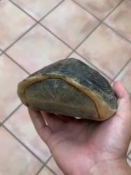 1479305 B