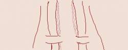8445 B