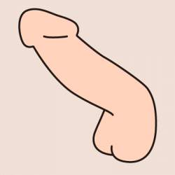 10207 B