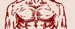 20485 B