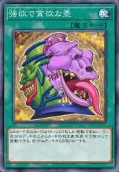 53265 B