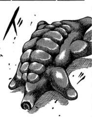57446 B