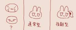 20208 B