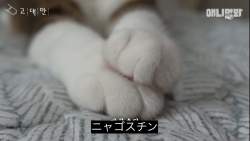 75266 B